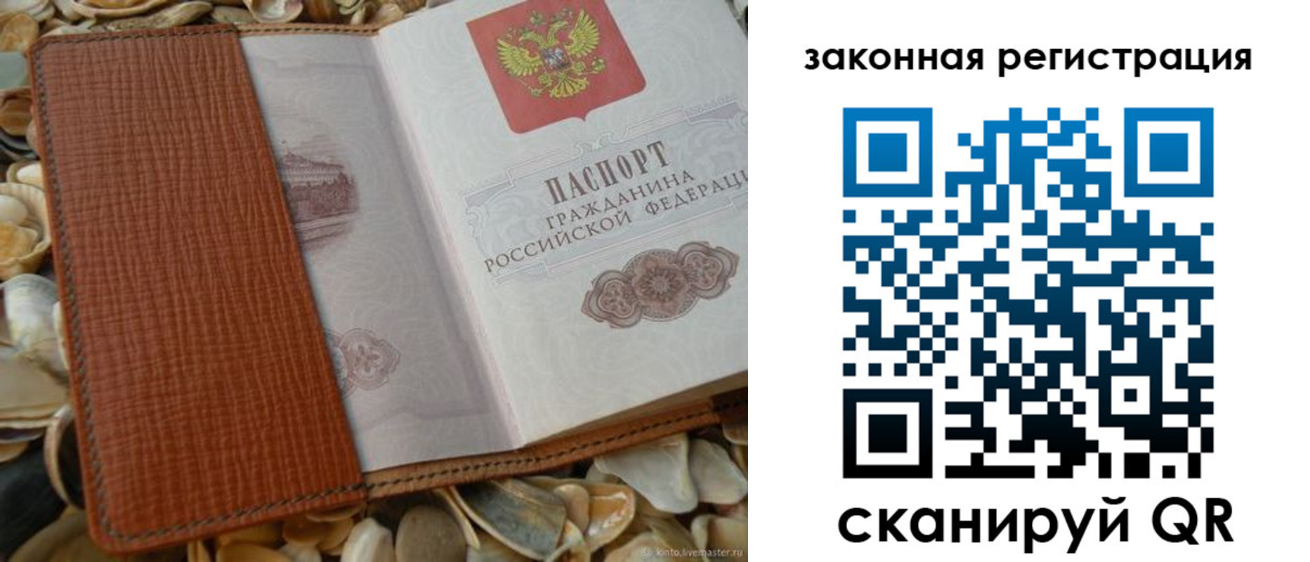 прописка паспорт в Тамбове